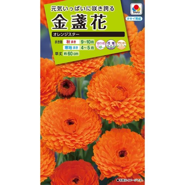 花種 NL200 金盞花 オレンジスター 小袋 [FKN202]【花の種】【タキイの