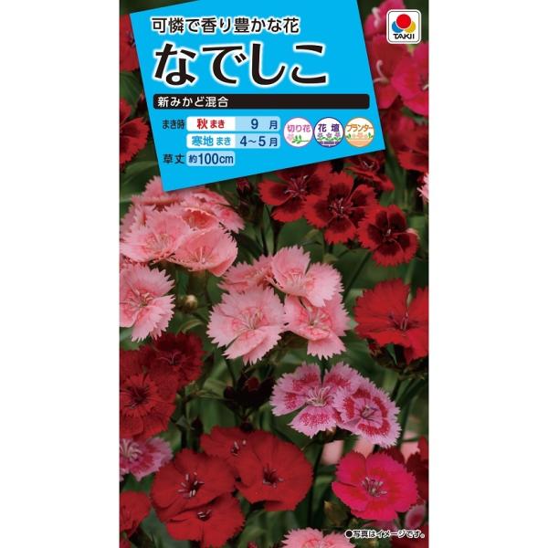 花種 NL150 なでしこ 新みかど混合 小袋 [FND110]【花の種】【タキイの