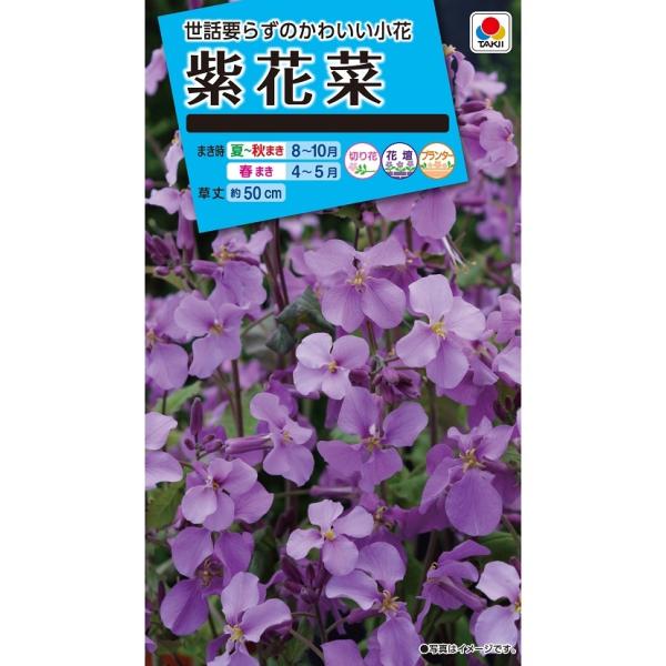 注）こちらの商品は花の種子です。注)メーカー在庫キレ、新種待ち等によりご注文を キャンセルまた多少お時間頂く場合がございますので誠に恐れ入りますが、あらかじめご了承頂きますようよろしくお願い致します。納期お急ぎの場合は前もってお問い合わせく...