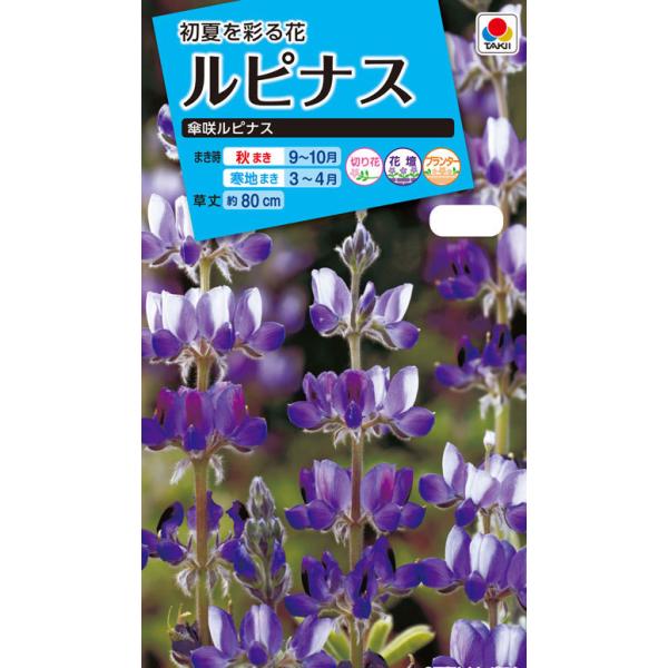 花種　NL150 ルピナス 傘咲ルピナス 小袋 [FRP111]【花の種】【タキイのタネ】【ガーデニング】