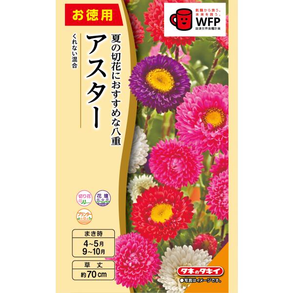 花種　NLお徳用 アスター くれない混合 小袋 [FAS549]【花の種】【タキイのタネ】【ガーデニング】