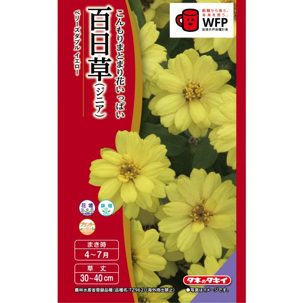 花種 NL400 百日草（ジニア） ベリーズダブルイエロー 小袋 [FZN743