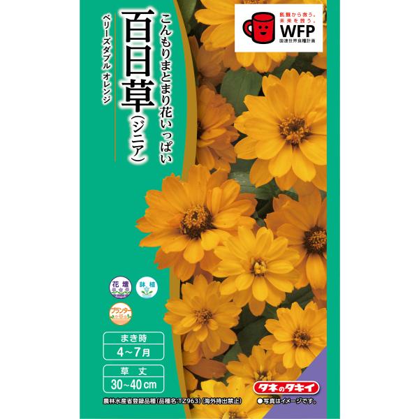花種 NL400 百日草（ジニア） ベリーズダブルオレンジ 小袋 [FZN744