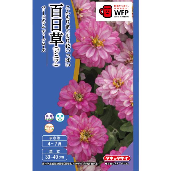 花種 NL400 百日草（ジニア） ベリーズダブル ディープローズ 小袋