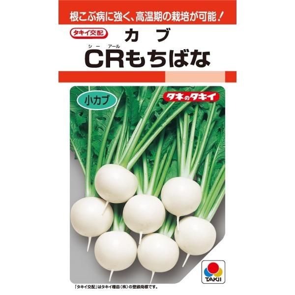 注）こちらの商品は野菜の種子です。注)流動在庫につき、メーカー在庫キレ等によりご注文を キャンセルまた多少お時間頂く場合がございますので誠に恐れ入りますが、あらかじめご了承頂きますようよろしくお願い致します。注）まき時期をご確認の上、ご注文...