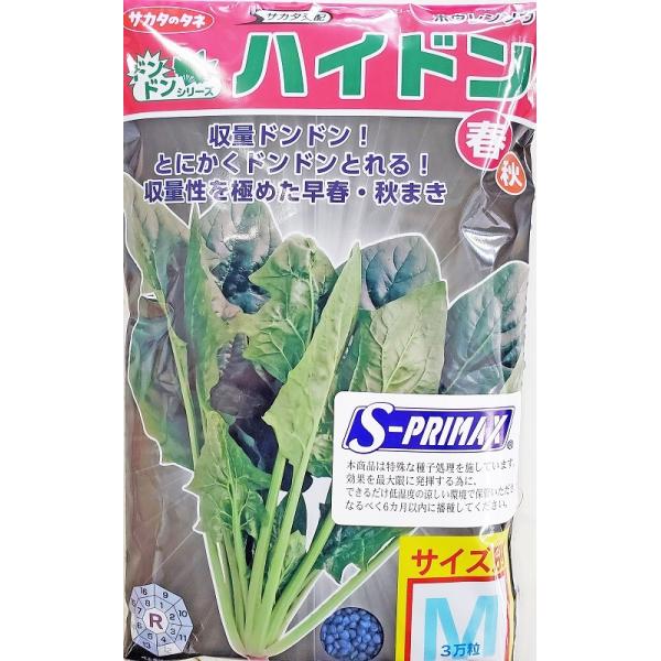 ホウレンソウ　ハイドン　M3万粒　PRIMAX種子　サカタのタネ