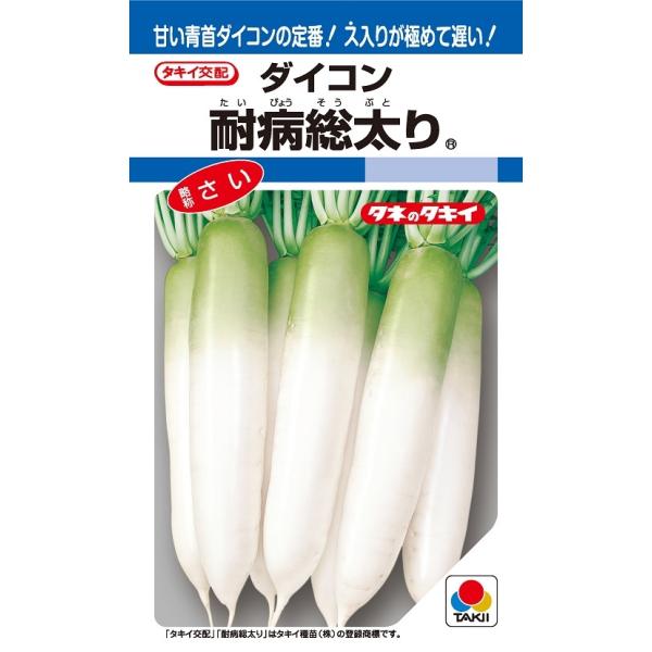注）こちらの商品は野菜の種子です。注)流動在庫につき、メーカー在庫キレ等によりご注文を キャンセルまた多少お時間頂く場合がございますので誠に恐れ入りますが、あらかじめご了承頂きますようよろしくお願い致します。注）まき時期をご確認の上、ご注文...