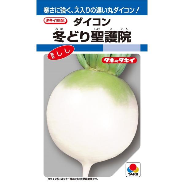 注）こちらの商品は野菜の種子です。注)流動在庫につき、メーカー在庫キレ等によりご注文を キャンセルまた多少お時間頂く場合がございますので誠に恐れ入りますが、あらかじめご了承頂きますようよろしくお願い致します。注）まき時期をご確認の上、ご注文...
