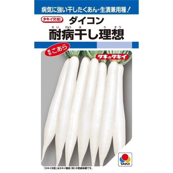 大根種子　耐病干し理想　2DLP　【タキイ種苗】【野菜種子】