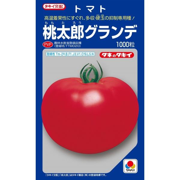 桃太郎グランデ 大玉トマト種子 TTM020の魅力と栽培ポイント