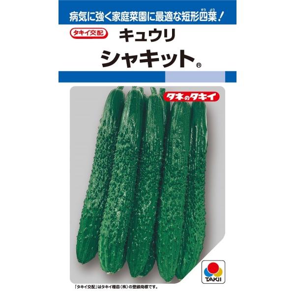 まがったキュウリ yoshitaninougei_546