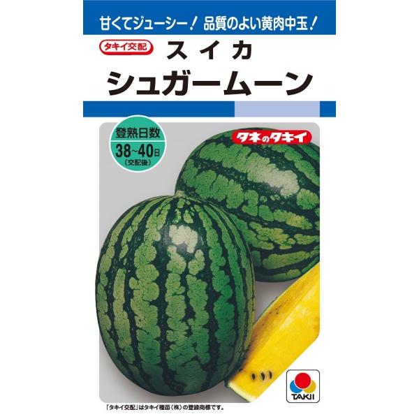 シュガームーン 9粒 スイカ種子【西瓜種】【タキイのタネ】【野菜の種