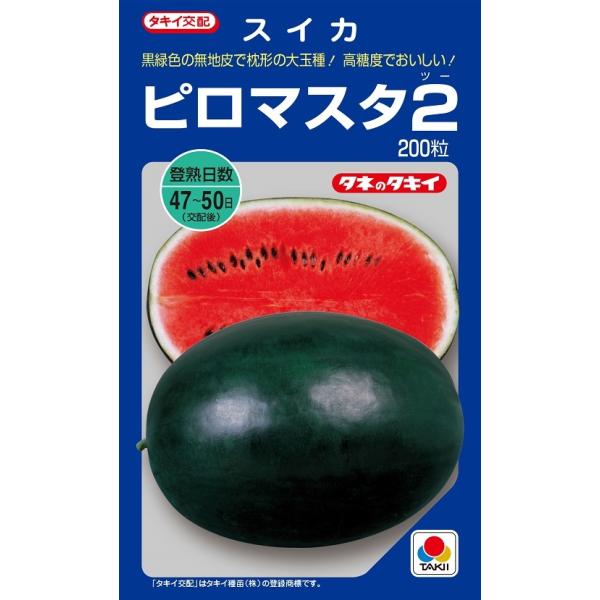 ピロマスタ2 200粒 スイカ種子【西瓜種】【タキイのタネ】【野菜の種