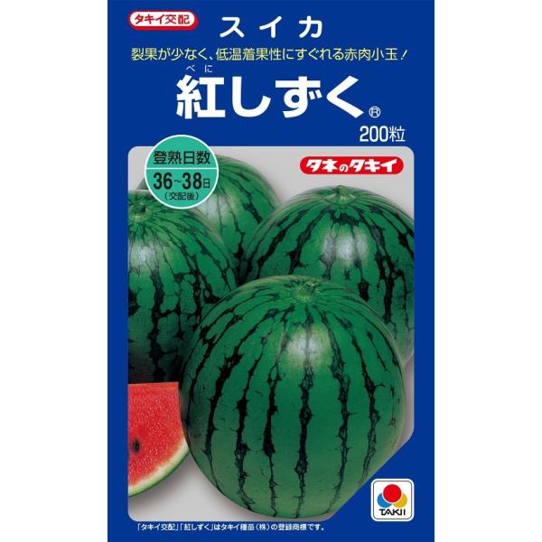紅しずく 200粒 スイカ種子【西瓜種】【タキイのタネ】【野菜の種