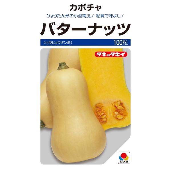 バターナッツ　100粒　カボチャ種子　【南瓜の種】【タキイのタネ】【野菜の種】