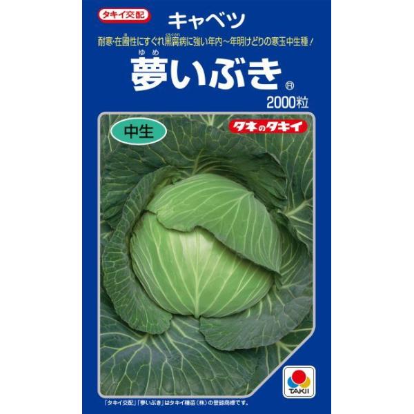 夢いぶき キャベツ種子 2000粒 中生種 年内どり 冬どり【野菜種子】【タキイ種苗】