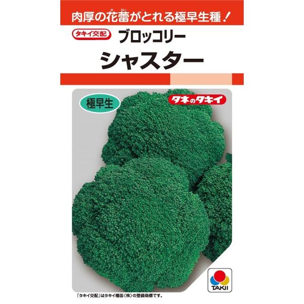 注）こちらの商品は野菜の種子です。注)店舗在庫キレ、メーカー在庫キレ等によりご注文を キャンセルまた多少お時間頂く場合がございますので誠に恐れ入りますが、あらかじめご了承頂きますようよろしくお願い致します。注）まき時期をご確認の上、ご注文を...