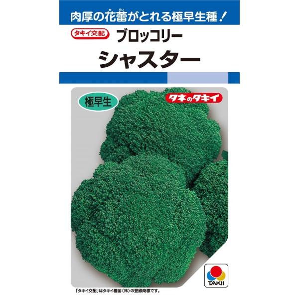 注）こちらの商品は野菜の種子です。注)店舗在庫キレ、メーカー在庫キレ等によりご注文を キャンセルまた多少お時間頂く場合がございますので誠に恐れ入りますが、あらかじめご了承頂きますようよろしくお願い致します。注）まき時期をご確認の上、ご注文を...