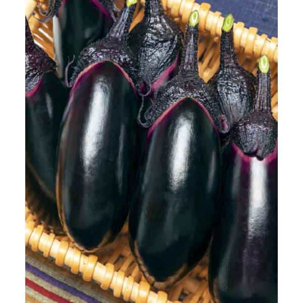 注）こちらの商品は野菜の種子です。注)流動在庫につき、メーカー在庫キレ等によりご注文を キャンセルまた多少お時間頂く場合がございますので誠に恐れ入りますが、あらかじめご了承頂きますようよろしくお願い致します。新商品特長●高い単為結果性で着果...