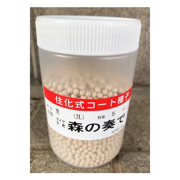 注）こちらの商品は野菜の種子です。注)流動在庫につき、メーカー在庫キレ等によりご注文を キャンセルまた多少お時間頂く場合がございますので誠に恐れ入りますが、あらかじめご了承頂きますようよろしくお願い致します。注）まき時期をご確認の上、ご注文...