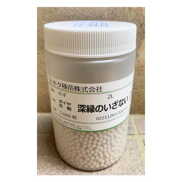 注）こちらの商品は野菜の種子です。注)流動在庫につき、メーカー在庫キレ等によりご注文を キャンセルまた多少お時間頂く場合がございますので誠に恐れ入りますが、あらかじめご了承頂きますようよろしくお願い致します。注）まき時期をご確認の上、ご注文...