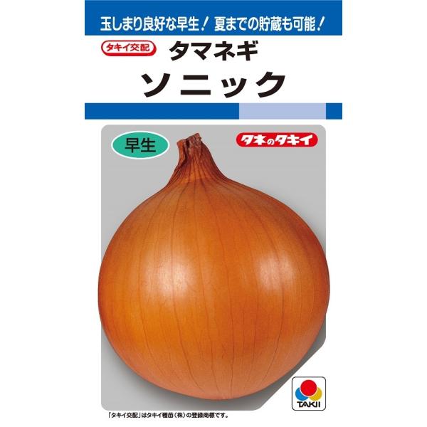 野菜種子　タマネギ　ソニック　20ml　【タキイ種苗】【野菜種子】