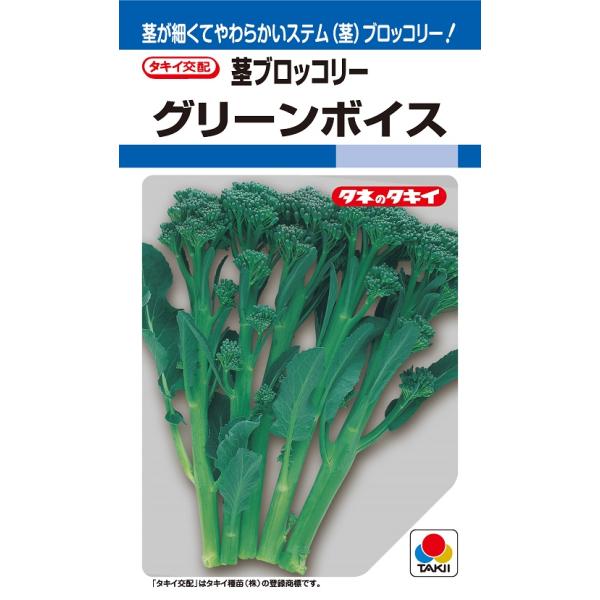 野菜種　茎ブロッコリー・グリーンボイス　10ｍ【タキイのタネ】