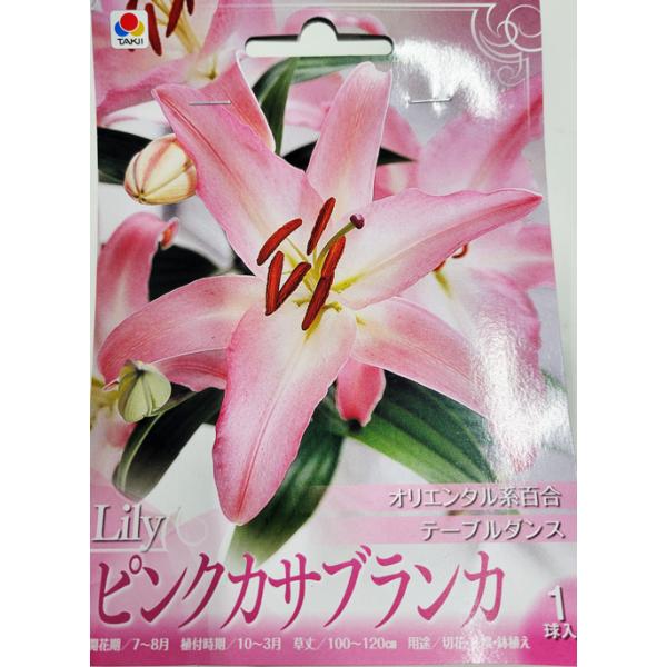 yoshitaninougei_kasaburnka2