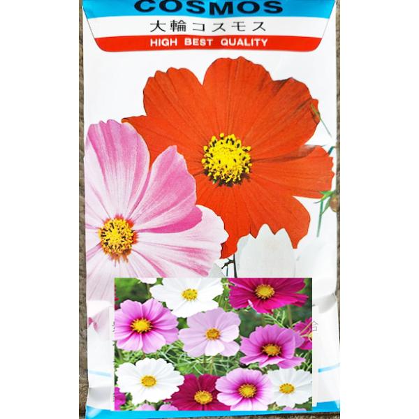注）こちらの商品は花の種子です。タキイの種子を当店小分けで出荷します。お届けの袋は商品画像とは異なります。花種　景観用コスモス　センセーション混合　1DL 播種期：3〜8月発芽温度：15〜25℃播種量:直播：1.0〜1.3kg／10a。播種...