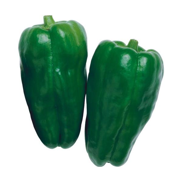 京鈴ピーマン 1000粒 【ピーマン種】【タキイのタネ】【野菜の種