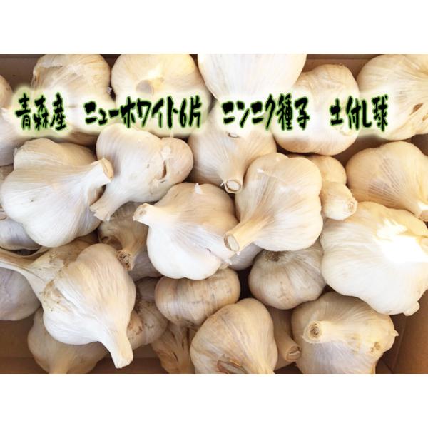 土L1k【予約商品　9月初旬入荷】ニンニク種子　土付き　ニューホワイト6片　Lサイズ　1ｋｇ 青森県産にんにく（ｋｇ‥12個〜14個）　　