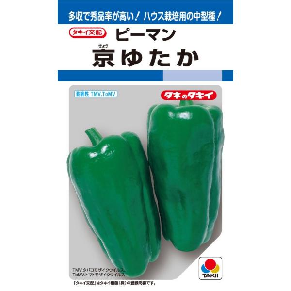 京ゆたかピーマン　35粒　【ピーマン種】【タキイのタネ】【野菜の種】