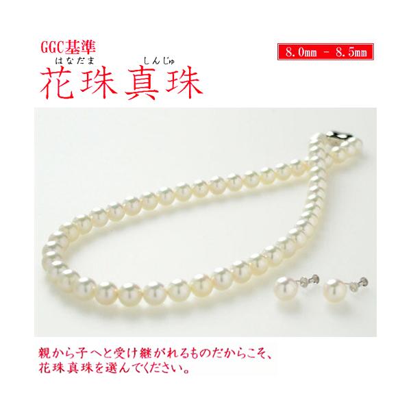 8-8.5~ GGC AR Ԏ^ lbNXZbg Vo[lWolCO K14WGsAX  Ԏp[Zbg()