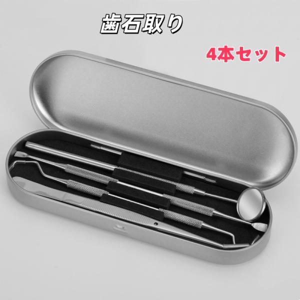 歯石取り 器具  4本セット自分で 歯石除去 自宅 犬 歯科 ヤニ ペット 口臭予防 爆買