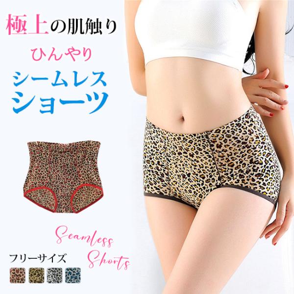 3枚組 シームレス ショーツ レディース シームレスパンツ ショーツ 接触冷感 パンツ 美尻 響かない 食い込まない さらさら 吸汗 速乾 肌に優しい 薄手 下着