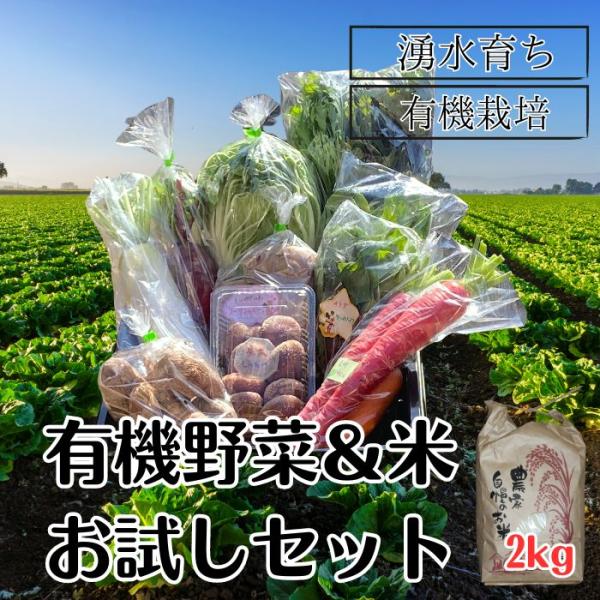 野菜＋米2kgお試しセット野菜 米 有機栽培 無農薬 熊本県産