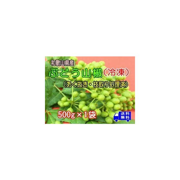ブドウ山椒（冷凍）あく抜き・枝取り処理済み 500g×1袋 送料無料