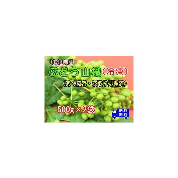 ブドウ山椒 冷凍 あく抜き 枝取り処理済み 500g 2箱 送料無料 北海道 沖縄離島は別途送料 Buyee Buyee 提供一站式最全面最專業現地yahoo Japan拍賣代bid代拍代購服務