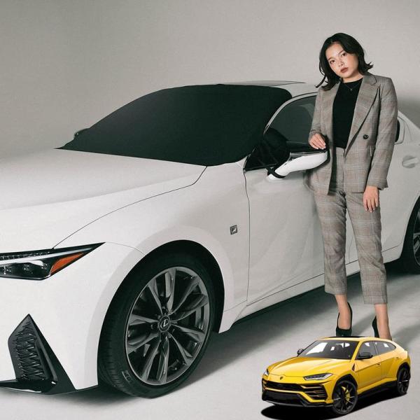高級車用朝、フロントガラスの凍結を防止する ランボルギーニ ウルス URUS フロントカバー サンシェード 凍結防止 普通車 軽自動車 SU