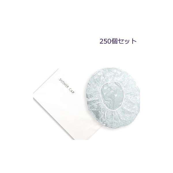 }bgV[Y @V[Lbvi1Zbg250j119.53~iōj