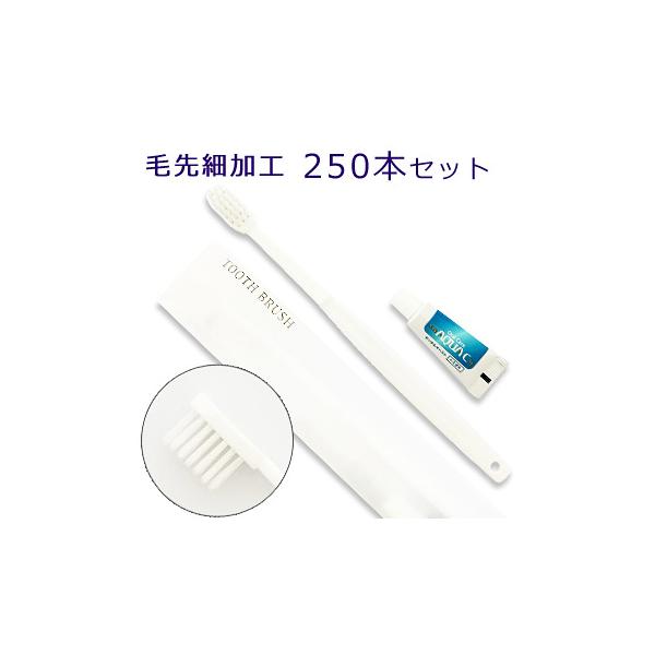 YL8M　ハブラシ　YL8M 　毛先細加工 24穴3gチューブ付　(１セット250本入)１本当り18.7円（税込）