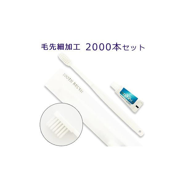 YL8M　ハブラシ　YL8M 　毛先細加工 24穴3gチューブ付(１セット2000本入)１本あたり16.72円（税込）