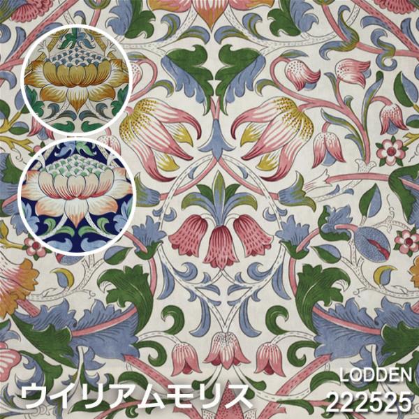 youai_kiji-ld2225