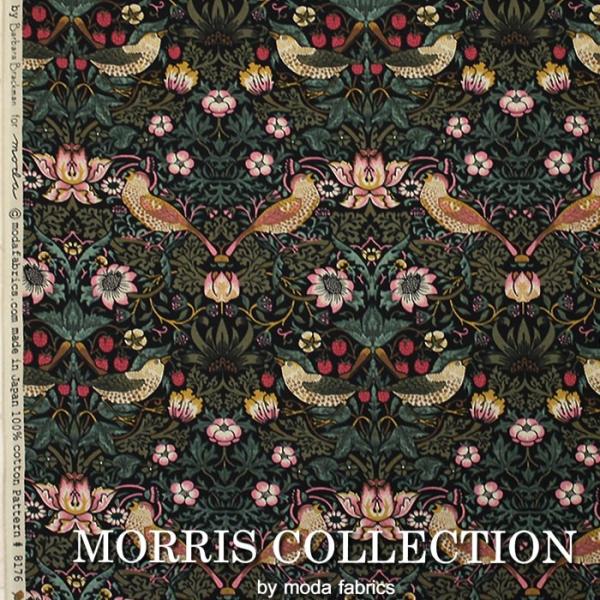 X n | 䕓D_ _Et@ubNX ؔ (10cm) 110cm 10Z`P V[`On D_ 8176-11 (Y) z |Cgp