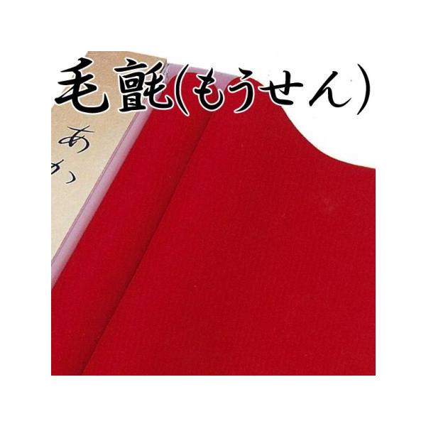 E[100 hHt  (5mm) 190cm×[gPʂŐؔ (1m) J[ F Iׂ I[_[ tH[ џ () (R) 