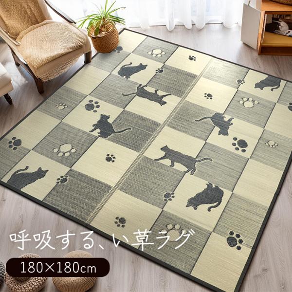 い草 ラグ マット 約180×180cm い草ラグ キューブキャット (O) 夏 イ草 カーペット 防カビ 抗菌 調湿 自然素材 裏面不織布 洗える 厚手 ねこ 猫 ネコ おしゃれ