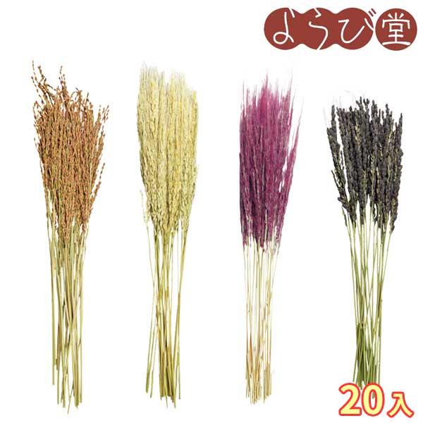 素材の色をそのままに、色とりどりの古代米の稲穂を取り揃え。稲穂を天日干しした商品になります。●サイズ：穂下約20cm（天然素材のため稲穂部分のサイズはバラツキます）●入数：20本●材質：金/古代米ベンガラ、銀/古代米稲美ノ翁、赤/古代米神丹...