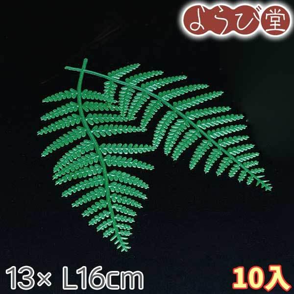 EW  10 13xL16cmy[։z