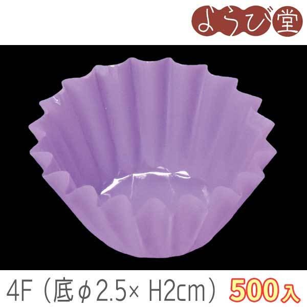 �t�B�����P�[�X 4F �� 500���� ���2.5xH2cm