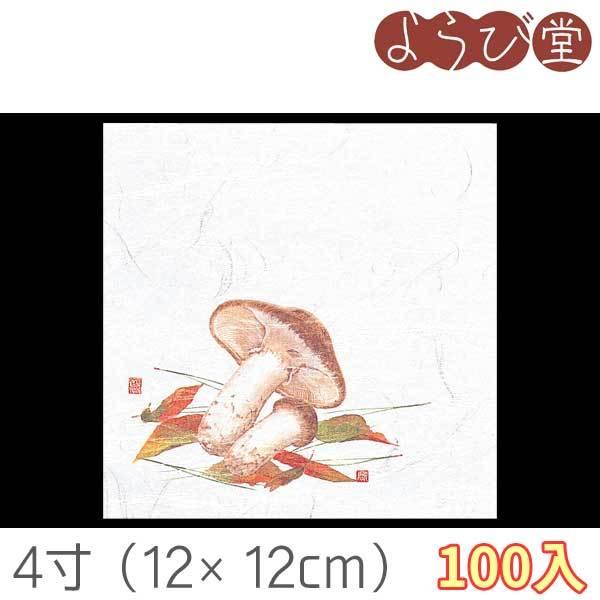 4 OP Ε~ i8`10j100 12x12cm